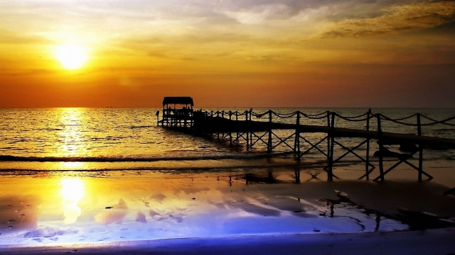 �����ʦ������